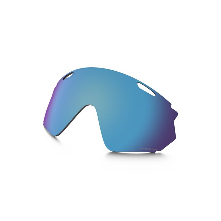 Oakley Wind Jacket 2.0 – Prizm Snow Sapphire